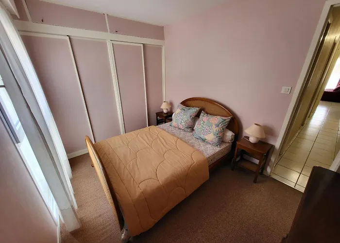 公寓 T2 Avec Garage, Balcon Sud, A 250m Et 350m Marche Arago - Fr-1-92-575 莱萨布勒-多洛讷